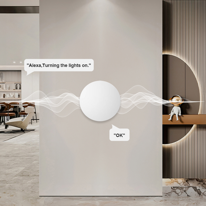 ZigBee Smart Wireless Button S - Smart Home Voice Assistant ulasan dan harga