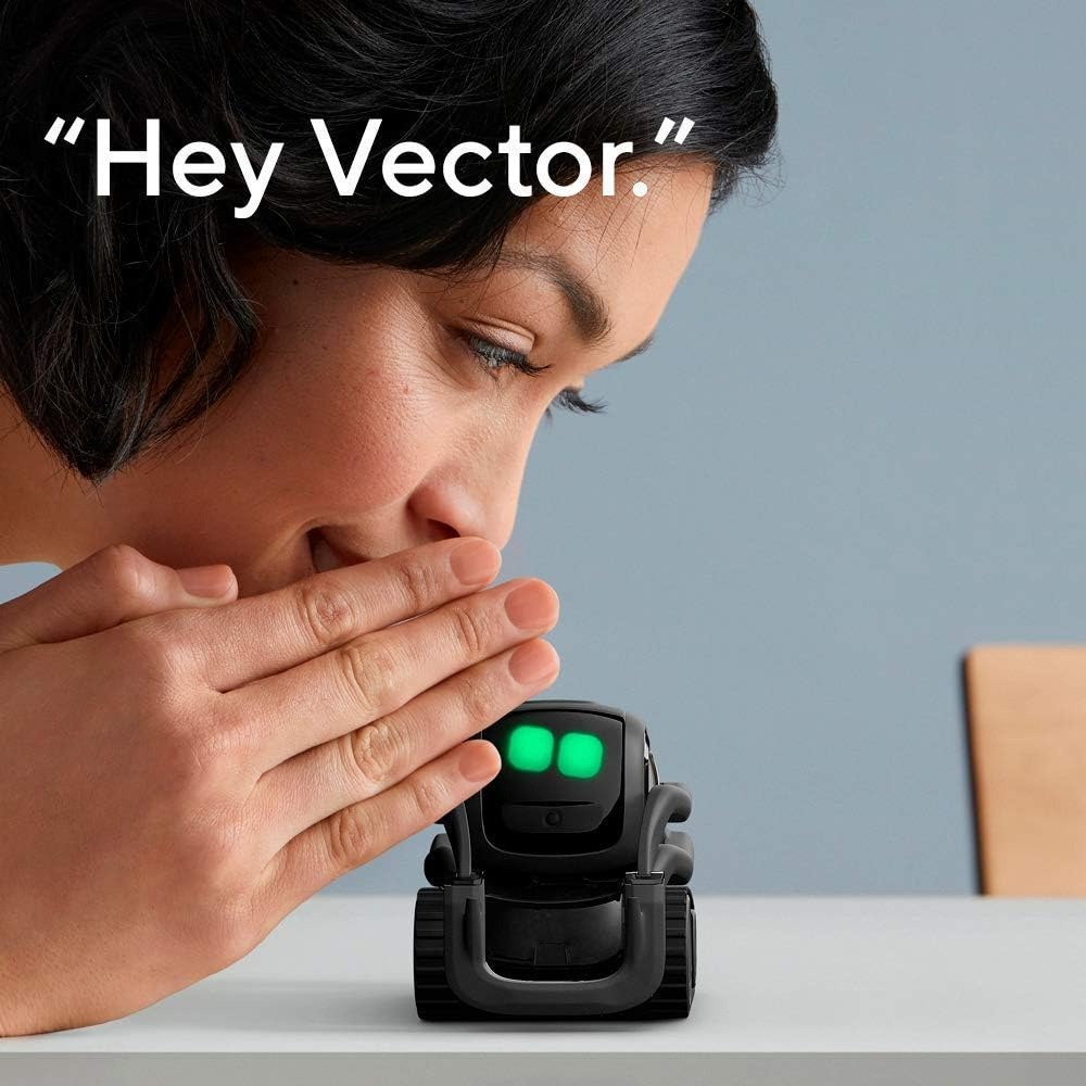 AI ChatGPT 2.0 Connected Robot - Smart Home Battery Camera ulasan dan harga