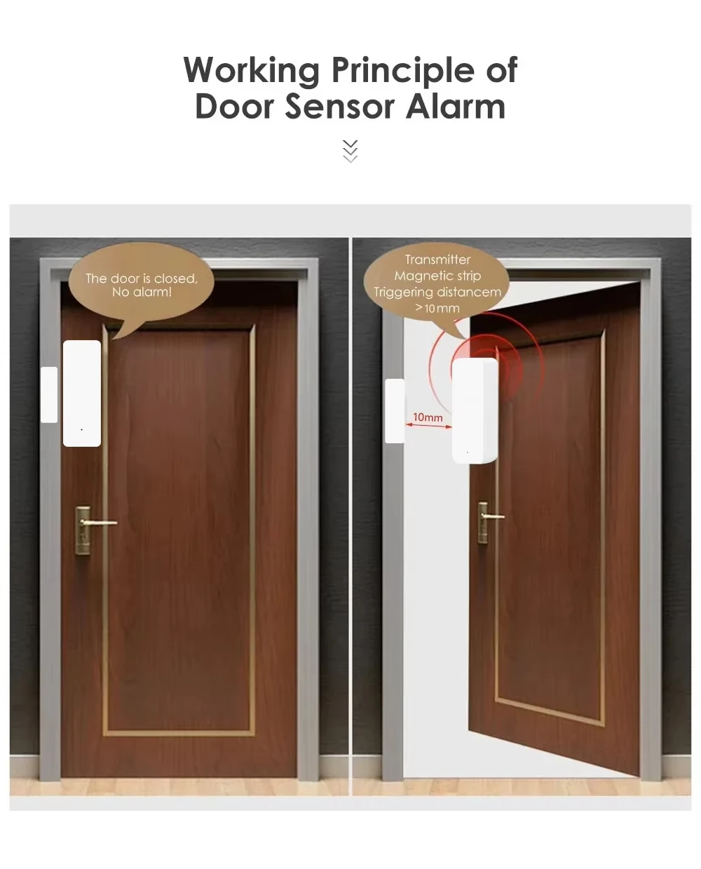 Tuya Zigbee/WiFi Magnetic Door - Smart Home Zigbee Gateway ulasan dan harga